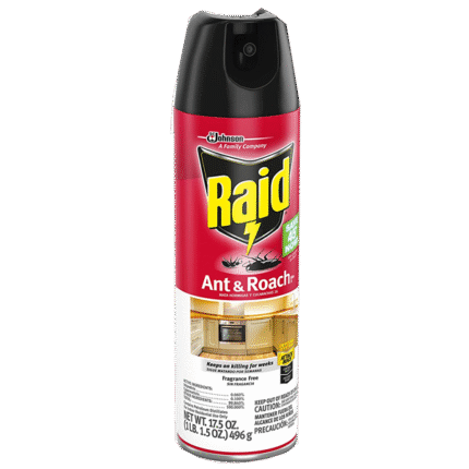 Raid Big
