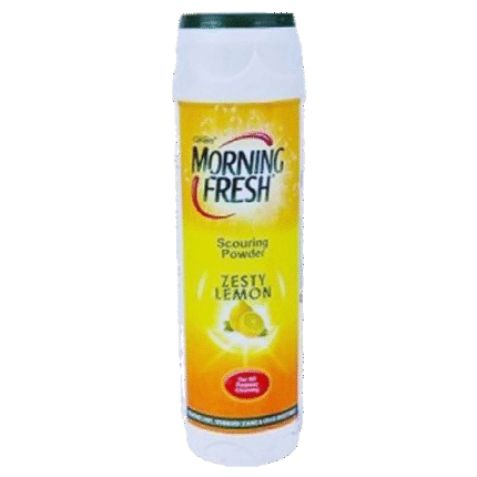 Morning Fresh Scouring Powder 450G